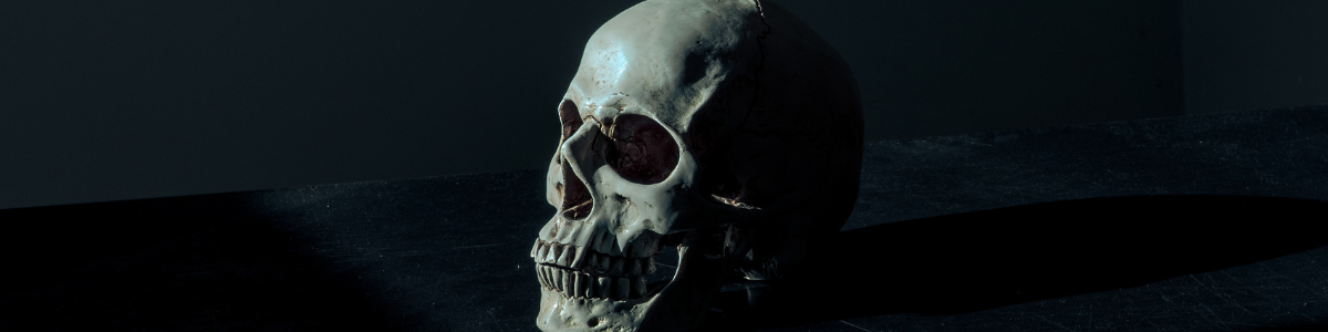 WHAT IS THE MEANING OF SKULL JEWELRY?